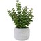 Northlight Real Touch™ Artificial  Privet Plant in Gray Stone Pot - 12"